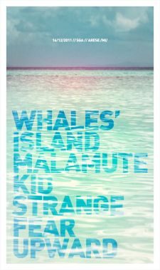 whales\' island release party